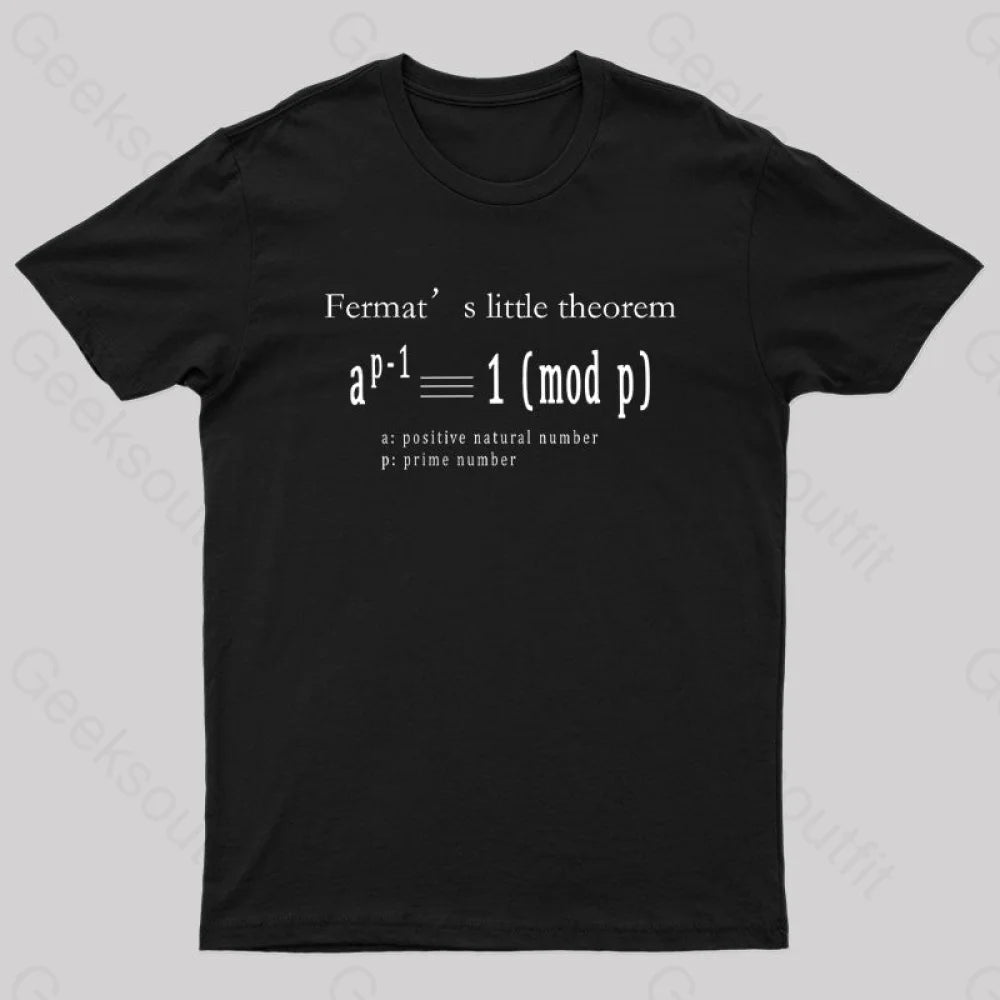 Fermat's Little Theorem Geek T-Shirt